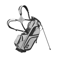 Mizuno BR-DX Stand Bag [HEATHER GREY]