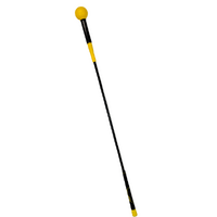 Brosnan Flexible Swing Tempo Trainer [48 IN]
